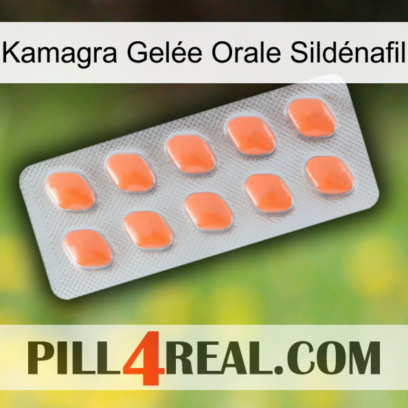 Kamagra Gelée Orale Sildénafil 26